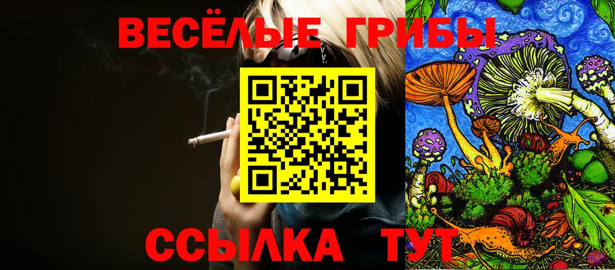 Галлюциногенные грибы Psilocybe Ноябрьск